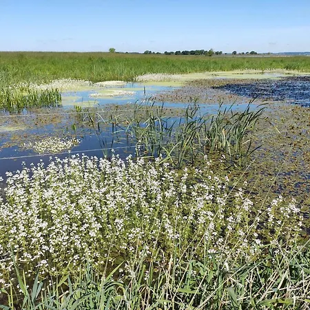 4 Star In Praesto-by Traum Nyaraló *