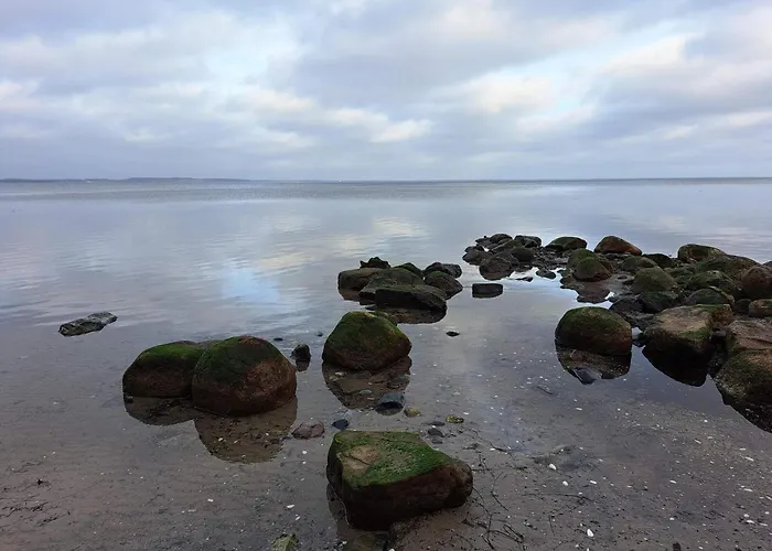 4 Star In Praesto-by Traum 度假居