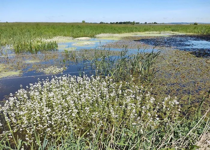 4 Star In Praesto-by Traum 度假居 *